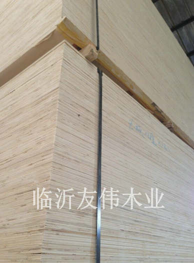 異形托盤板不可貌相，發(fā)展前景不可限量